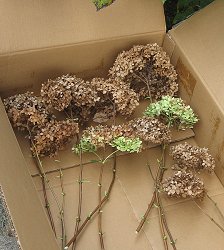 Click for bigger photo.