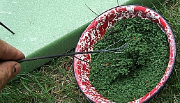 Click for bigger photo.